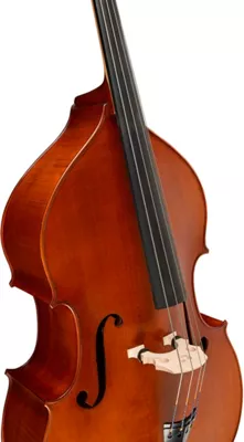Ren Wei Shi Model 705 Double Bass 5 Ren Wei Shi Model 705 Double Bass - Image 3