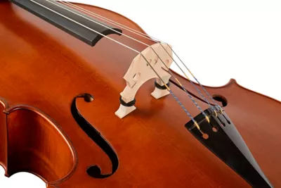 Ren Wei Shi Model 705 Double Bass 6 Ren Wei Shi Model 705 Double Bass - Image 4