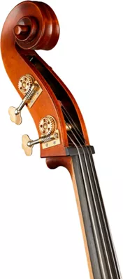 Ren Wei Shi Model 705 Double Bass 7 Ren Wei Shi Model 705 Double Bass - Image 5