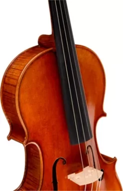 Ren Wei Shi Artist Viola 16 In. With Arcolla Bow And Oblong Case -Orchestral Oasis shop 464151000975000 IMAGE 04