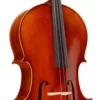 Ren Wei Shi Model 7000 Cello 2 Ren Wei Shi Model 7000 Cello -Orchestral Oasis shop 464154000000000 IMAGE 00