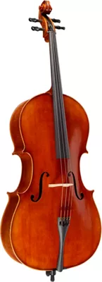 Ren Wei Shi Model 7000 Cello