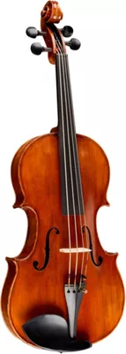 Bellafina ChinCello Outfit