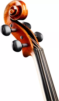 Bellafina ChinCello Outfit 5 Bellafina ChinCello Outfit - Image 3