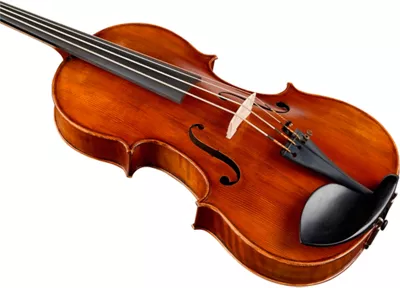 Bellafina ChinCello Outfit 6 Bellafina ChinCello Outfit - Image 4