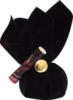 Larsen Strings Violin Rosin Standard