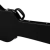 Epiphone Jack Casady Bass Guitar Case