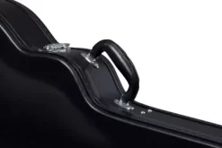 Epiphone Wildkat Hardshell Case 9 Epiphone Wildkat Hardshell Case -Orchestral Oasis shop 540835000000000 IMAGE 02