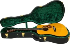 Silver Creek Vintage Dreadnought Archtop Case