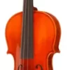 Ren Wei Shi Concert Model Violin Outfit Outfit 4/4 Size -Orchestral Oasis shop 620576000902048 IMAGE 00