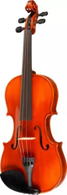 Ren Wei Shi Concert Model Violin Outfit Outfit 4/4 Size