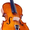 Cremona SVA-175 Premier Student Series Viola Outfit 15 In. Outfit 2 Cremona SVA-175 Premier Student Series Viola Outfit 15 In. Outfit -Orchestral Oasis shop H84811000002000 IMAGE 00