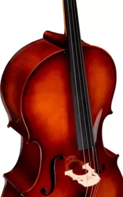 Bellafina Musicale Series Cello Outfit 4/4 Size -Orchestral Oasis shop J05783000001000 IMAGE 04