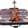 Stentor Graduate Series Violin Outfit 4/4 Size