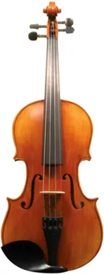 Maple Leaf Strings MLS 140 Apprentice Collection Violin Outfit 4/4 Size