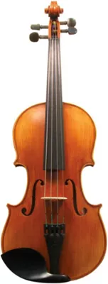 Maple Leaf Strings MLS 130 Apprentice Collection Violin Outfit 4/4 Size