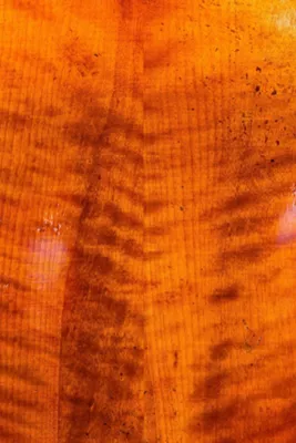 Strobel MC-500 Recital Series Cello Outfit 4/4 Size 9 Strobel MC-500 Recital Series Cello Outfit 4/4 Size - Image 7