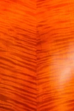 Strobel MC-300 Series Cello Outfit 4/4 Size -Orchestral Oasis shop J23999000001000 IMAGE 06