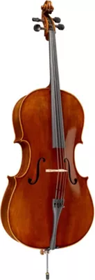 Ren Wei Shi Academy Series Cello Outfit 4/4