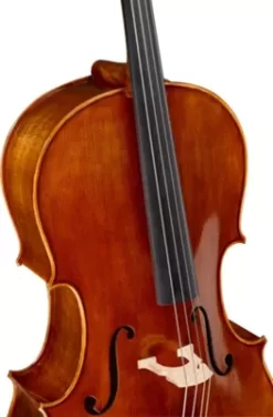 Ren Wei Shi Academy Series Cello Outfit 4/4 -Orchestral Oasis shop J31588000001000 IMAGE 03