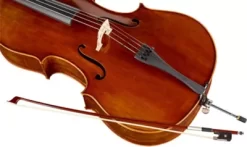 Ren Wei Shi Academy Series Cello Outfit 4/4 -Orchestral Oasis shop J31588000001000 IMAGE 04