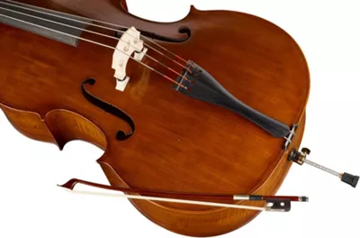 Ren Wei Shi Academy Series Double Bass Outfit 1/2 7 Ren Wei Shi Academy Series Double Bass Outfit 1/2 - Image 5