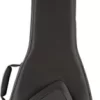 Fender FB1225 Electric Bass Gig Bag Black 2 Fender FB1225 Electric Bass Gig Bag Black -Orchestral Oasis shop K35816000001000 IMAGE 00