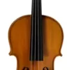 Strobel ML-100 Student Series 4/4 Size Violin Outfit Dominant -Orchestral Oasis shop L10577000000001 IMAGE 00