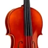 Ren Wei Shi Academy II Series Violin Outfit 4/4