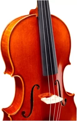 Ren Wei Shi Academy II Series Violin Outfit 4/4 -Orchestral Oasis shop L57134000001000 IMAGE 04