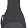 Road Runner RR3EG Avenue II Electric Guitar Gig Bag Black Standard