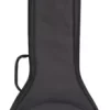Road Runner Avenue II Banjo Gig Bag Black