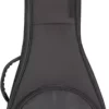 Road Runner Avenue II Mandolin Gig Bag Black -Orchestral Oasis shop L58884000001000 IMAGE 00