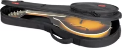 Road Runner Avenue II Mandolin Gig Bag Black -Orchestral Oasis shop L58884000001000 IMAGE 04