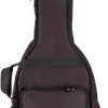 Protec Gold Series Hollowbody Electric Guitar Gig Bag Black 1 Protec Gold Series Hollowbody Electric Guitar Gig Bag Black -Orchestral Oasis shop L77478000001000 IMAGE 00