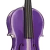 Stentor Harlequin Series Purple Viola 15 In.