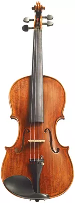 Stentor Arcadia Series Violin Outfit 4/4