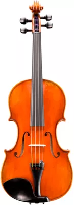 Eastman VL601 Albert Nebel Series Advanced Violin Outfit 4/4