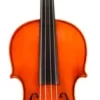 Eastman VA200 Series Step-Up Viola Outfit 15 In. -Orchestral Oasis shop L88260000004000 IMAGE 00