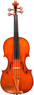 Eastman VA200 Series Step-Up Viola Outfit 15 In.