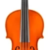 Eastman VA100 Samuel Eastman Series Student Viola Outfit 13 In. -Orchestral Oasis shop L88261000003000 IMAGE 00