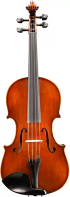 Eastman VA305 Andreas Eastman Series Step-Up Viola Outfit 15 In.