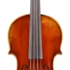 Eastman VL701 Rudoulf Doetsch Series Professional Violin Outfit 7/8 2 Eastman VL701 Rudoulf Doetsch Series Professional Violin Outfit 7/8 -Orchestral Oasis shop L88267000001000 IMAGE 00