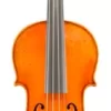 Eastman VL906 Master Series Professional Violin Outfit 4/4 -Orchestral Oasis shop L88280000001000 IMAGE 00