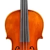 Eastman VL928 Raul Emiliani Series Professional Violin Outfit 4/4 -Orchestral Oasis shop L88282000001000 IMAGE 00