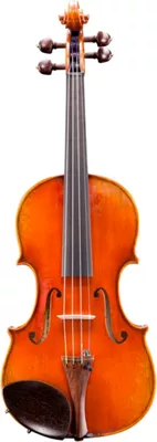Eastman VL703 Frederich Wyss Series Professional Violin Outfit 4/4