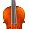 Eastman VA401 Ivan Dunov Series Step-Up Viola Outfit 15 In.