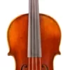 Eastman VA402 Ivan Dunov Superior Series Step-Up Viola Outfit 15 In.