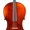 Eastman VC305 Andreas Eastman Series Step-Up Cello Outfit 4/4 2 Eastman VC305 Andreas Eastman Series Step-Up Cello Outfit 4/4 -Orchestral Oasis shop L88393000001000 IMAGE 00