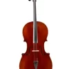 Eastman VC701 Rudoulf Doetsch Series Advanced Cello Outfit 4/4